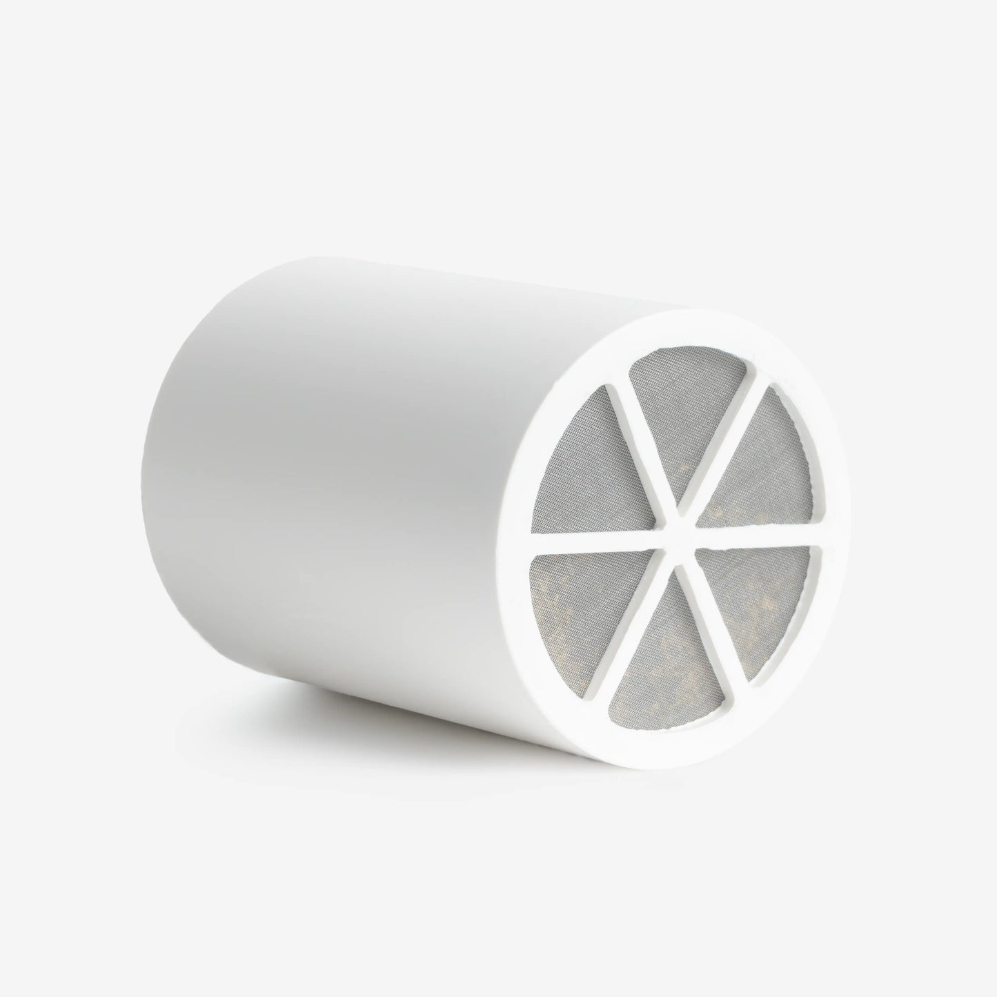 Replacement Cartridge for 2-in-1 Hydro-Spa Filter