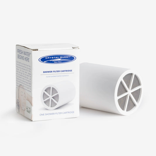 Replacement Cartridge for 2-in-1 Hydro-Spa Filter