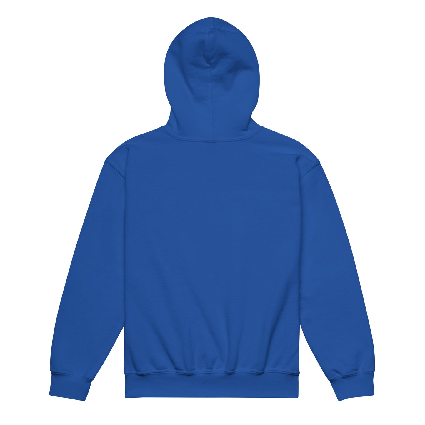 Youth heavy blend hoodie